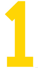 Load image into Gallery viewer, 