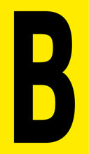 Load image into Gallery viewer, 